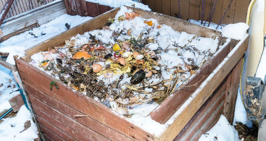 Can Red Wiggler Worms Survive Winter? The Cold Truth. - Shop Worms