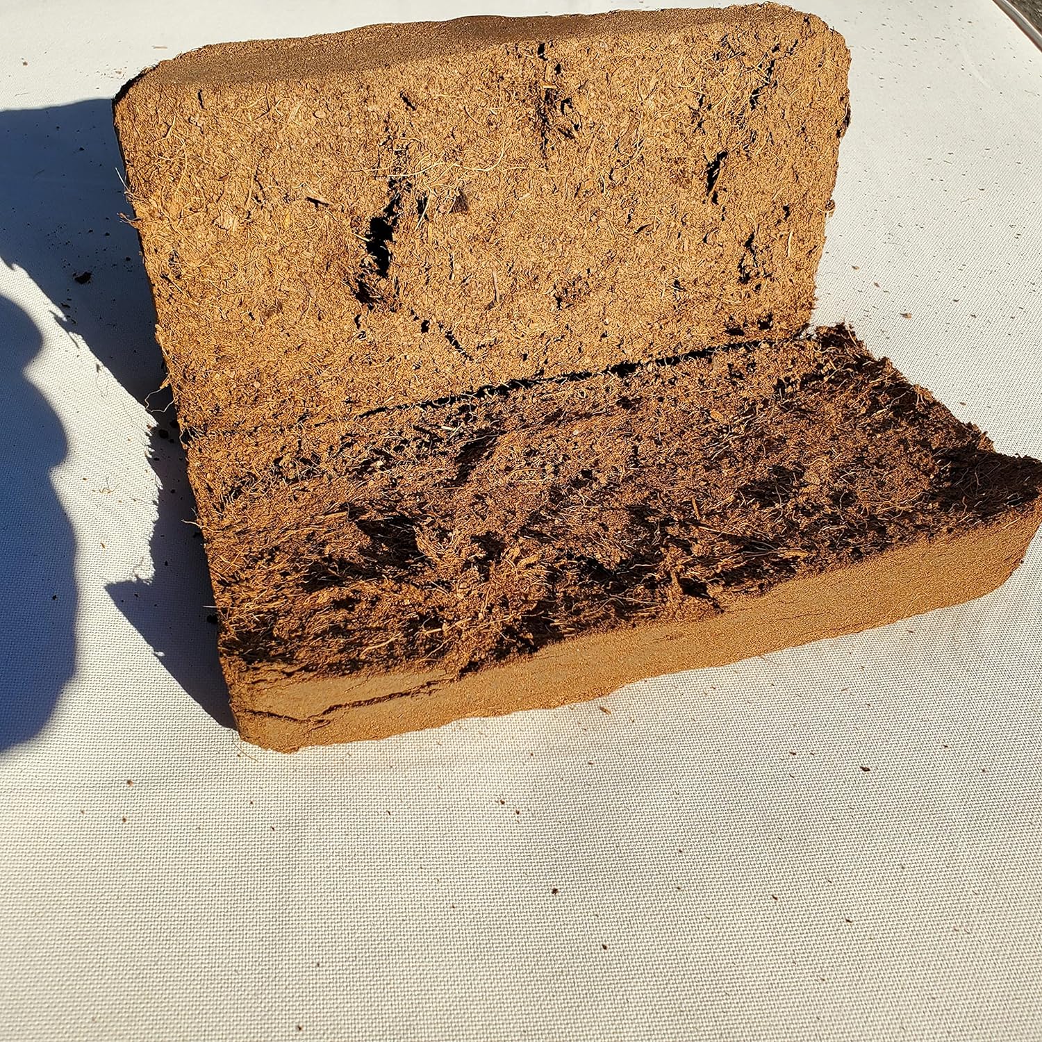 Coco Coir Brick - Coco Coir Brick - Shop Worms