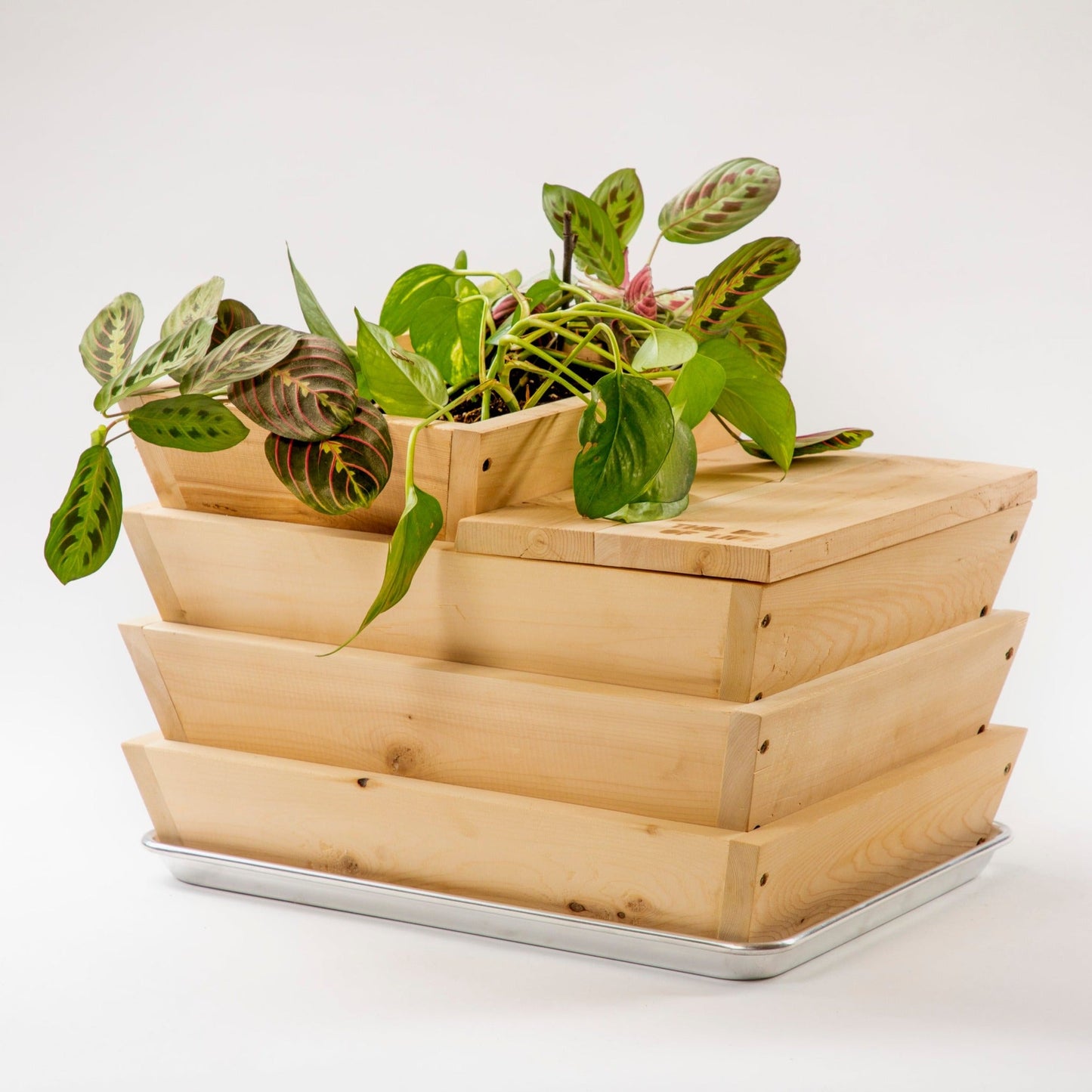 The Box of Life Worm Composter Tower - Shop Worms