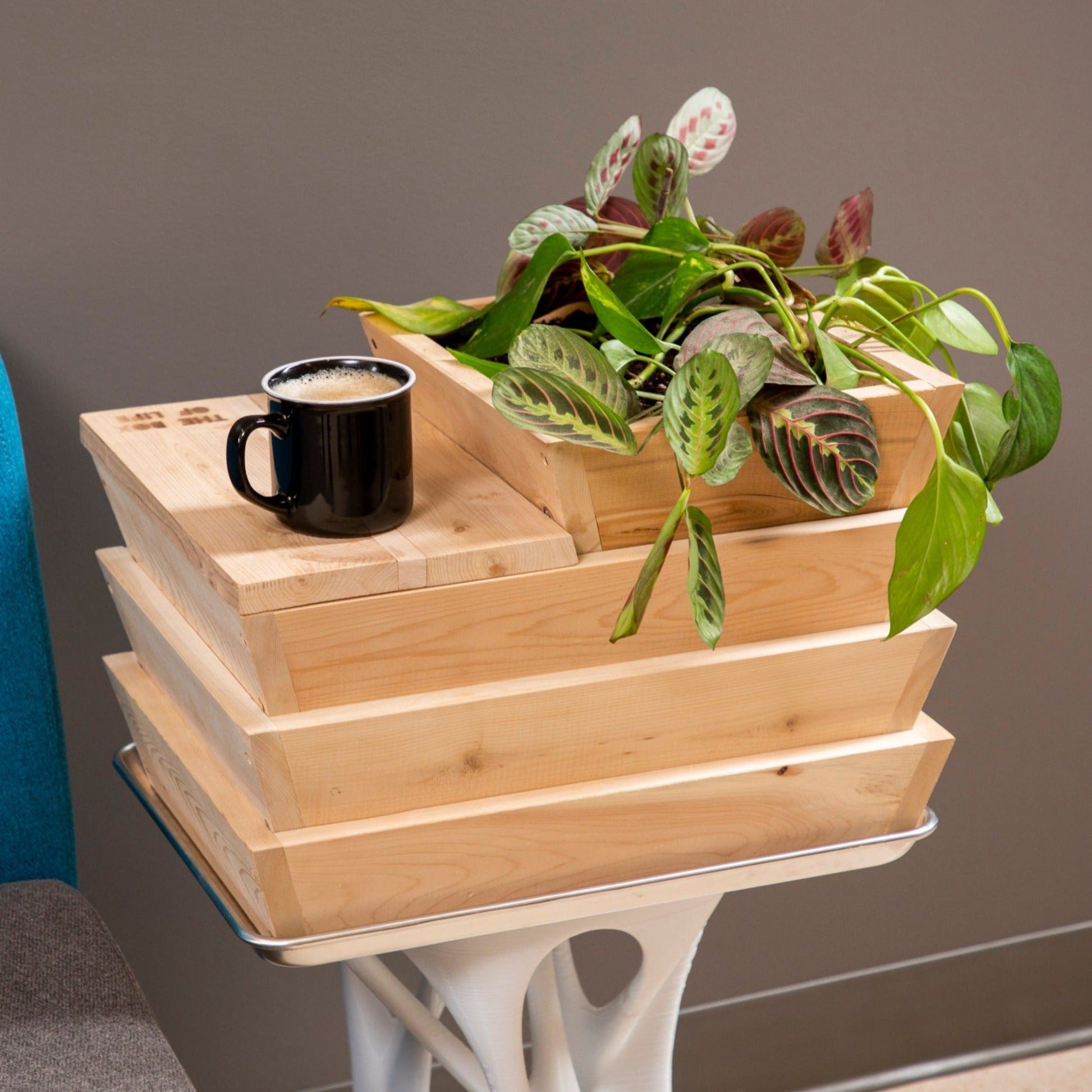 The Box of Life Worm Composter Tower - Shop Worms