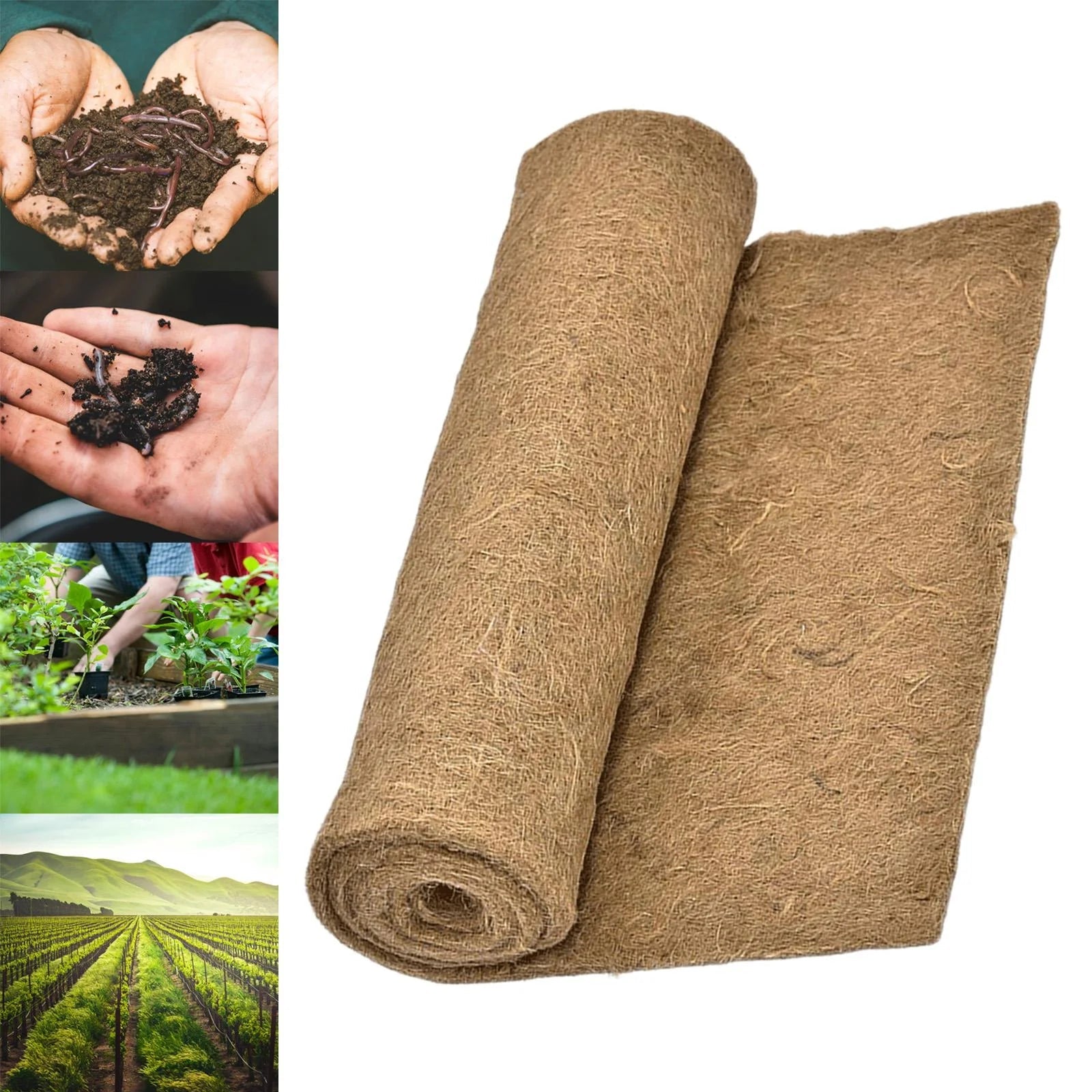 Worm Blanket - Worm Blanket - Shop Worms