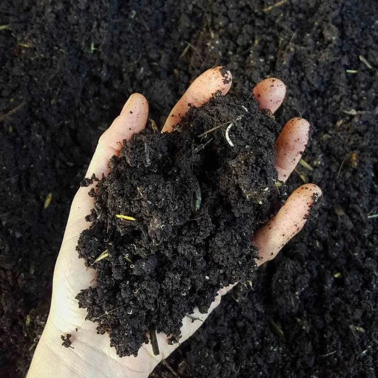 Worm Castings - Natural Super Fertilizer - Natural Red Wiggler Worm Castings - Shop Worms