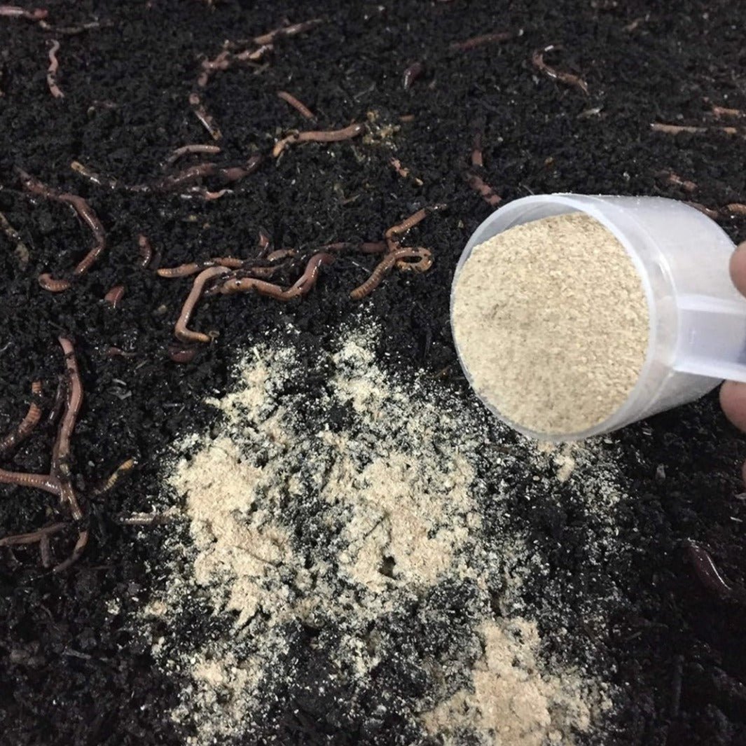 Worm Food - Organic Worm Food - Shop Worms