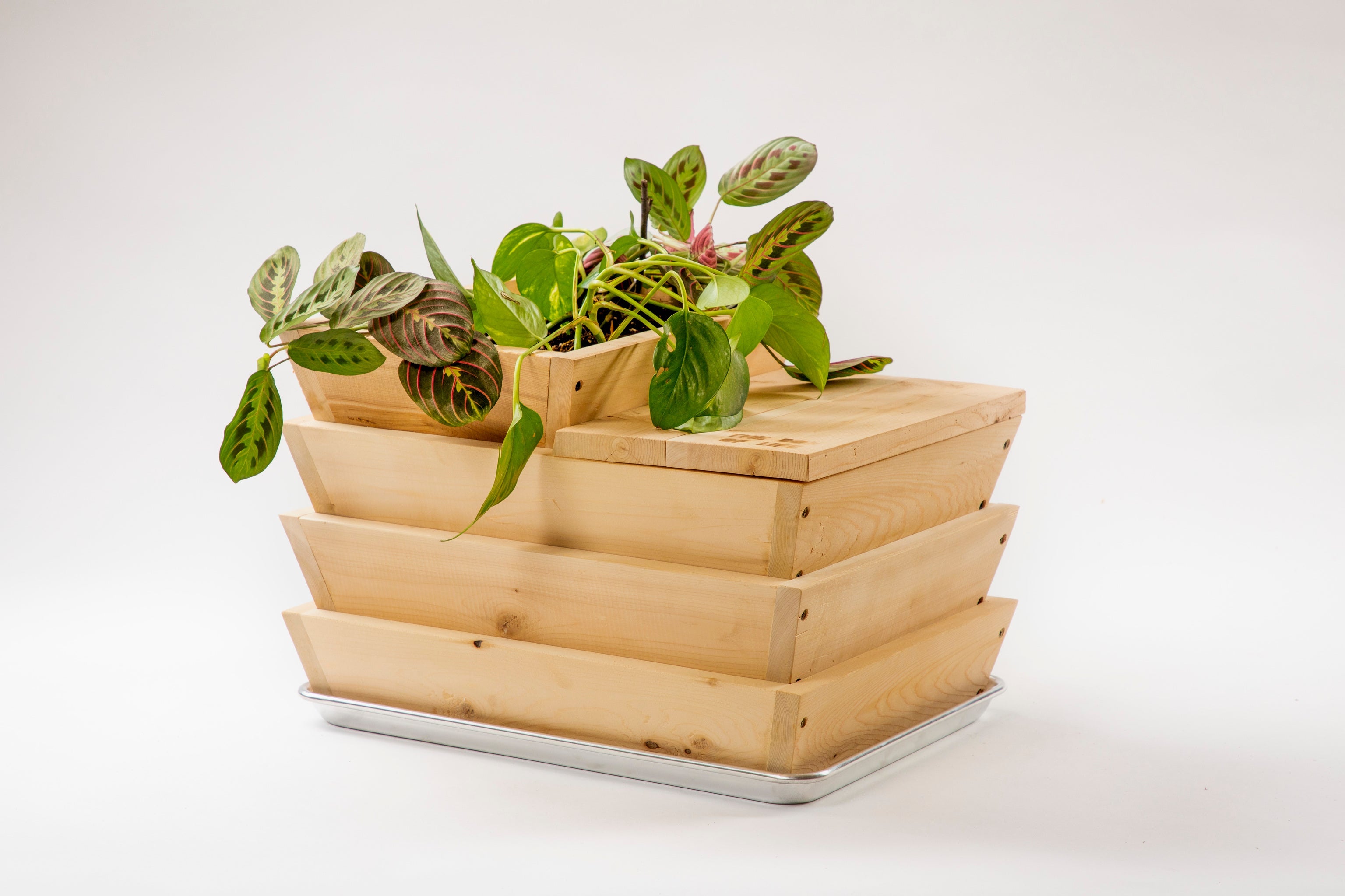 Worm Compost Bins Shop Worms