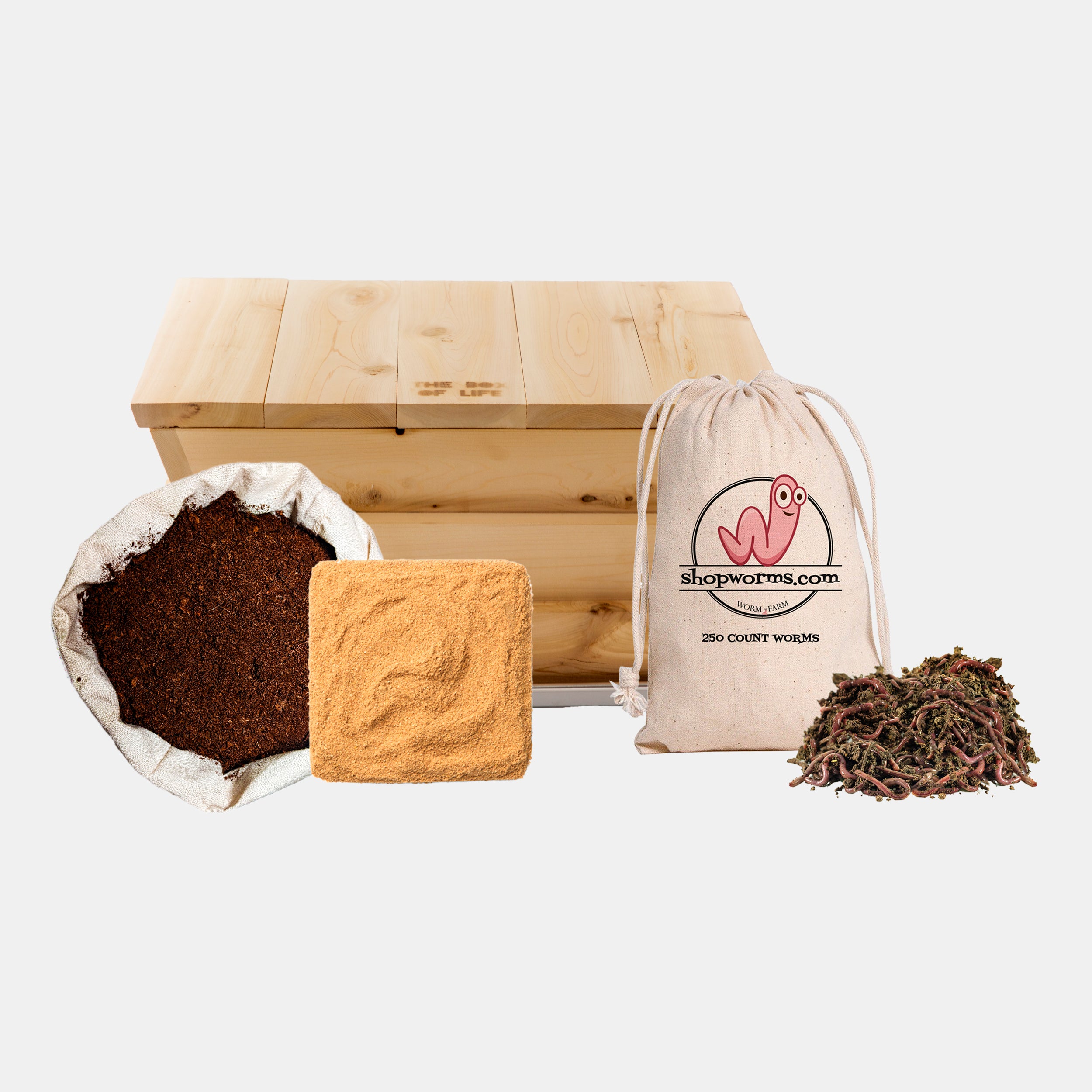 EarthBuddy Composting Kit – Shop Worms