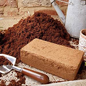 Coco Coir Brick - Coco Coir Brick - Shop Worms