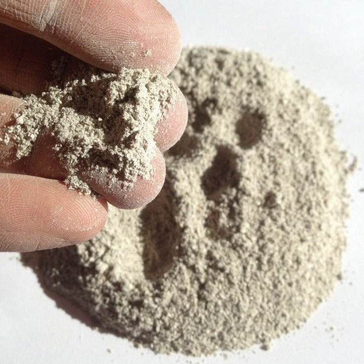 Oyster Shell Powder - Soil Condtioner for Plants - Shop Worms
