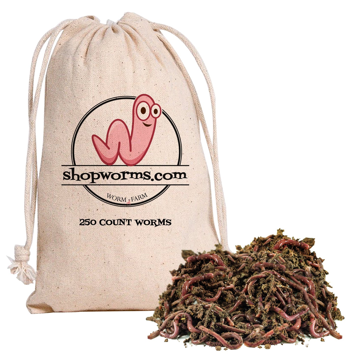 WWJD Worms Red Wigglers Composting Worms - 1/4lb (250 Count) -  Red Wiggler Worm Farm for Fishing, Red Worms for Composting Bin, Red  Composting Worms for Garden, Farm Soil 