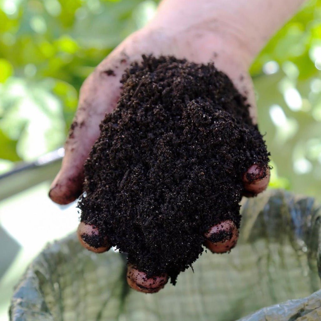 Worm Castings - Natural Super Fertilizer - Natural Red Wiggler Worm Castings - Shop Worms